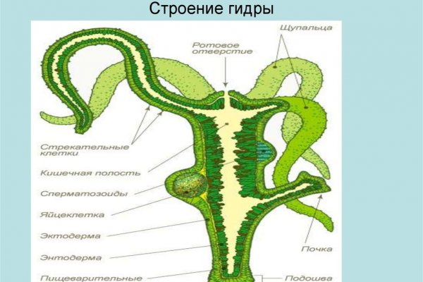 Нарко сайт кракен