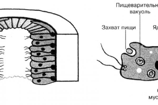 Сайт кракен зайти