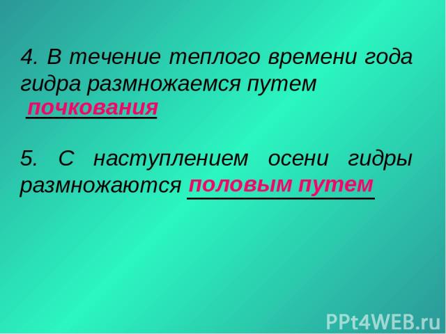 Кракен сайт ссылка онлайн